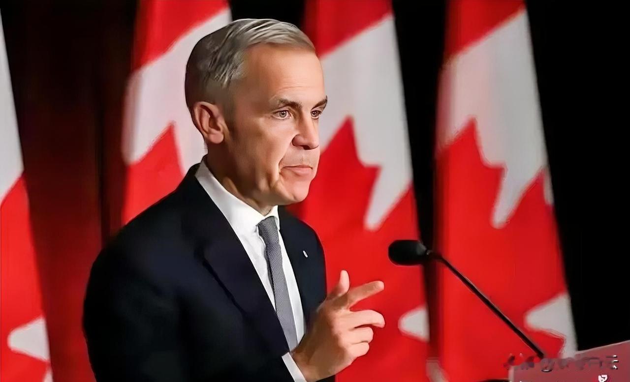 到底谁是发达国家？看着中国和加拿大签署的协议，加拿大向中国出口又是油菜籽又是农