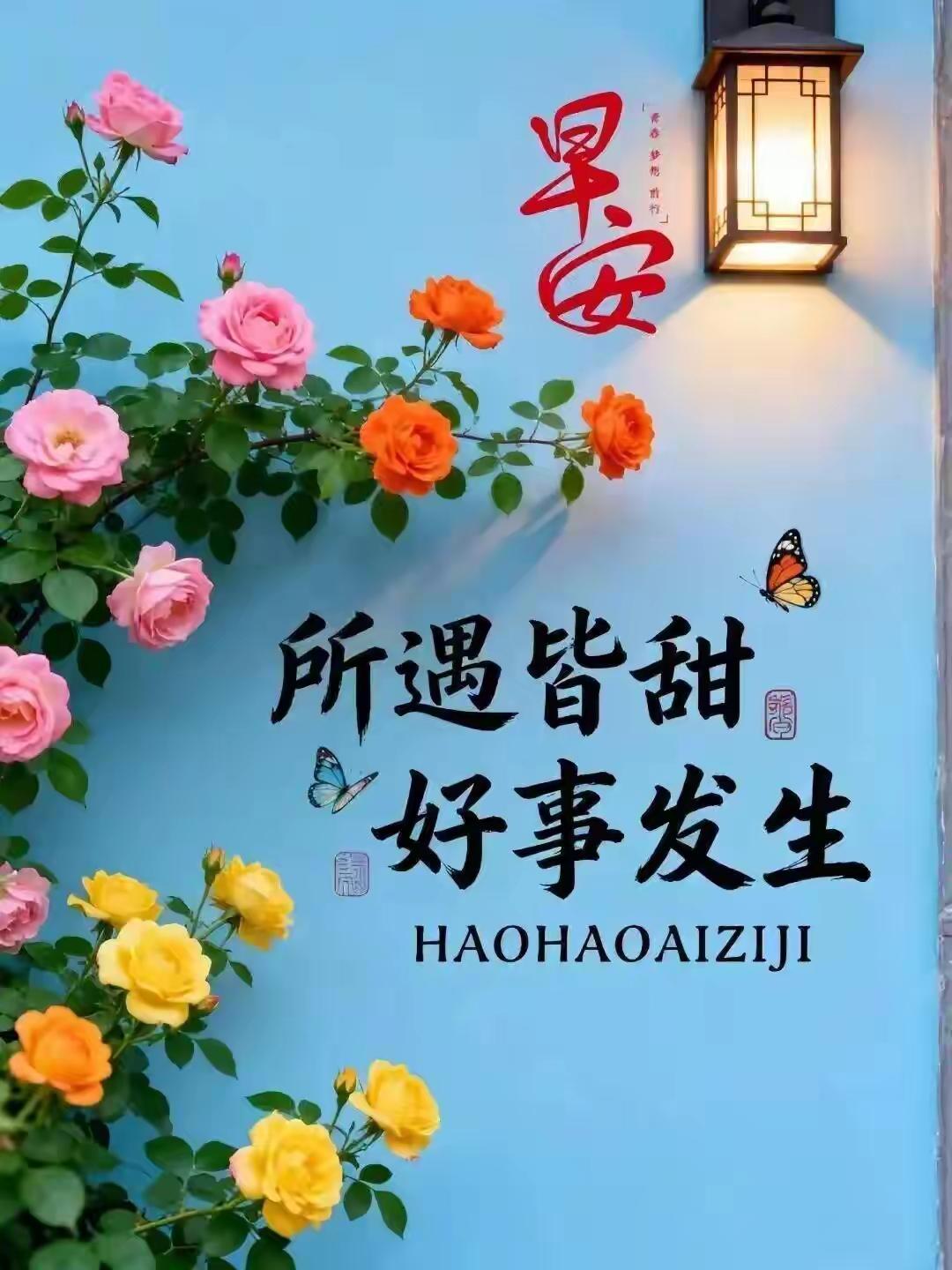 早安！美好的一天。“遇见美好，好事发生”🌸🌼🌺