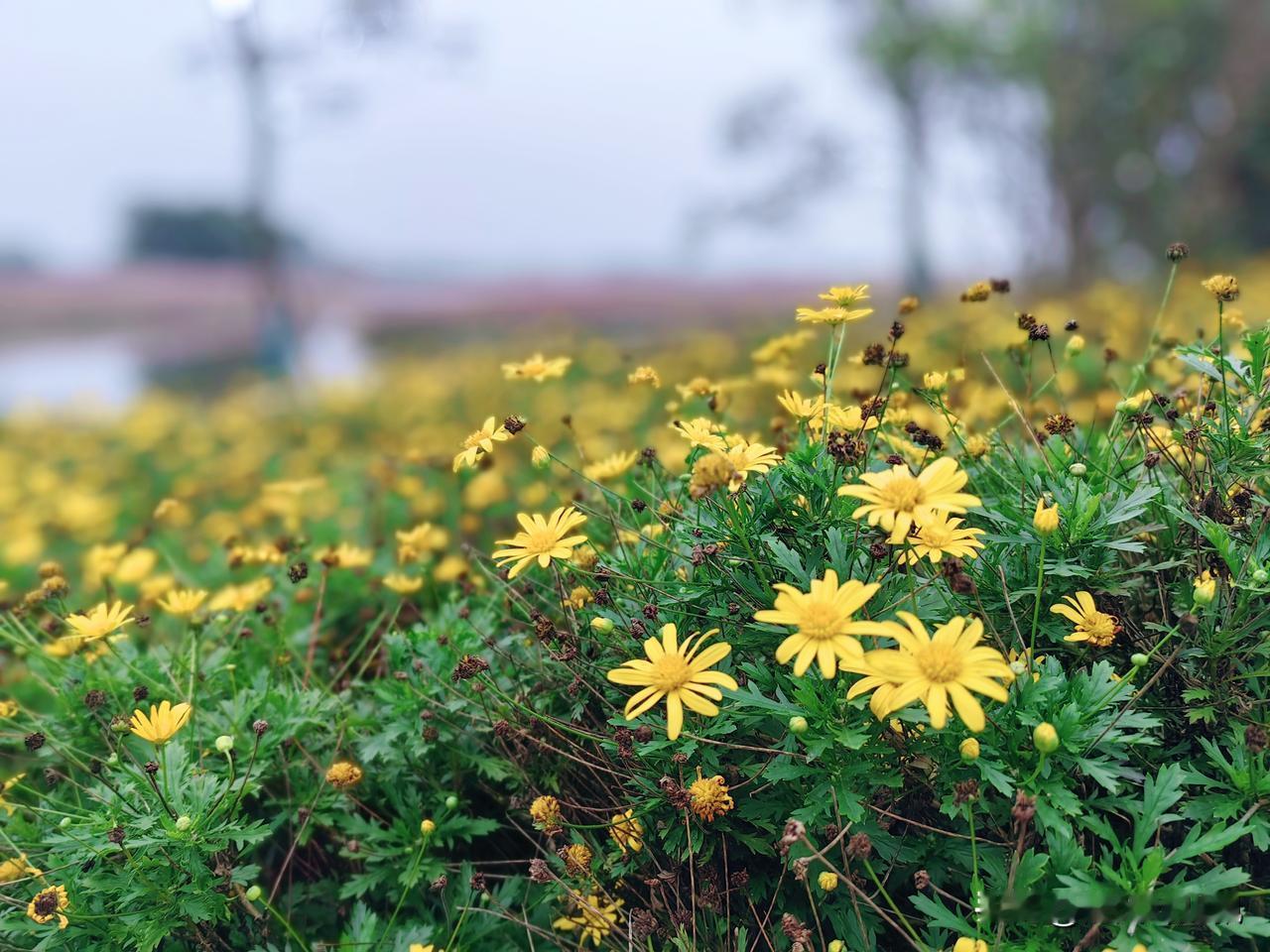 周末，不开着我那破车出门显摆一下，真对不起那些开不来车，和不知道我有车的人。