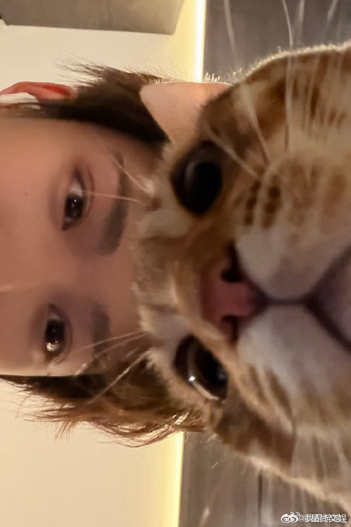 梓渝和大鱼小十一猫咪合照梓渝晒大鱼小十一合照合照+1！梓渝和大鱼小十一同框，氛围