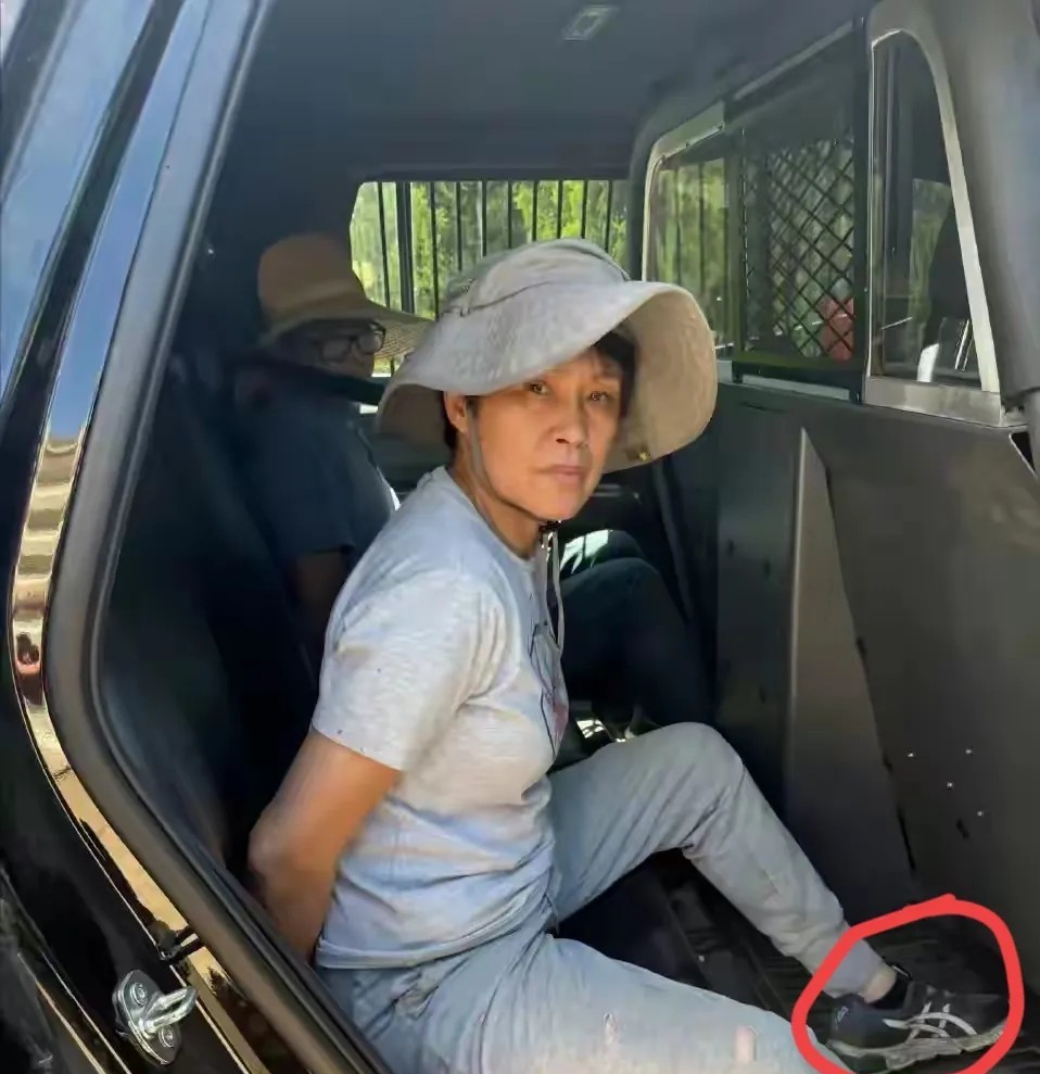 真是丢人丢到国外了！听说过出国旅游的，还有出国留学的，还是第一次听说组团出国偷
