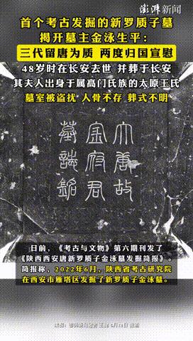 “韩国人要破防了！”陕西考古界出现大新闻，首次发掘出唐代的新罗质子墓，一查发现，