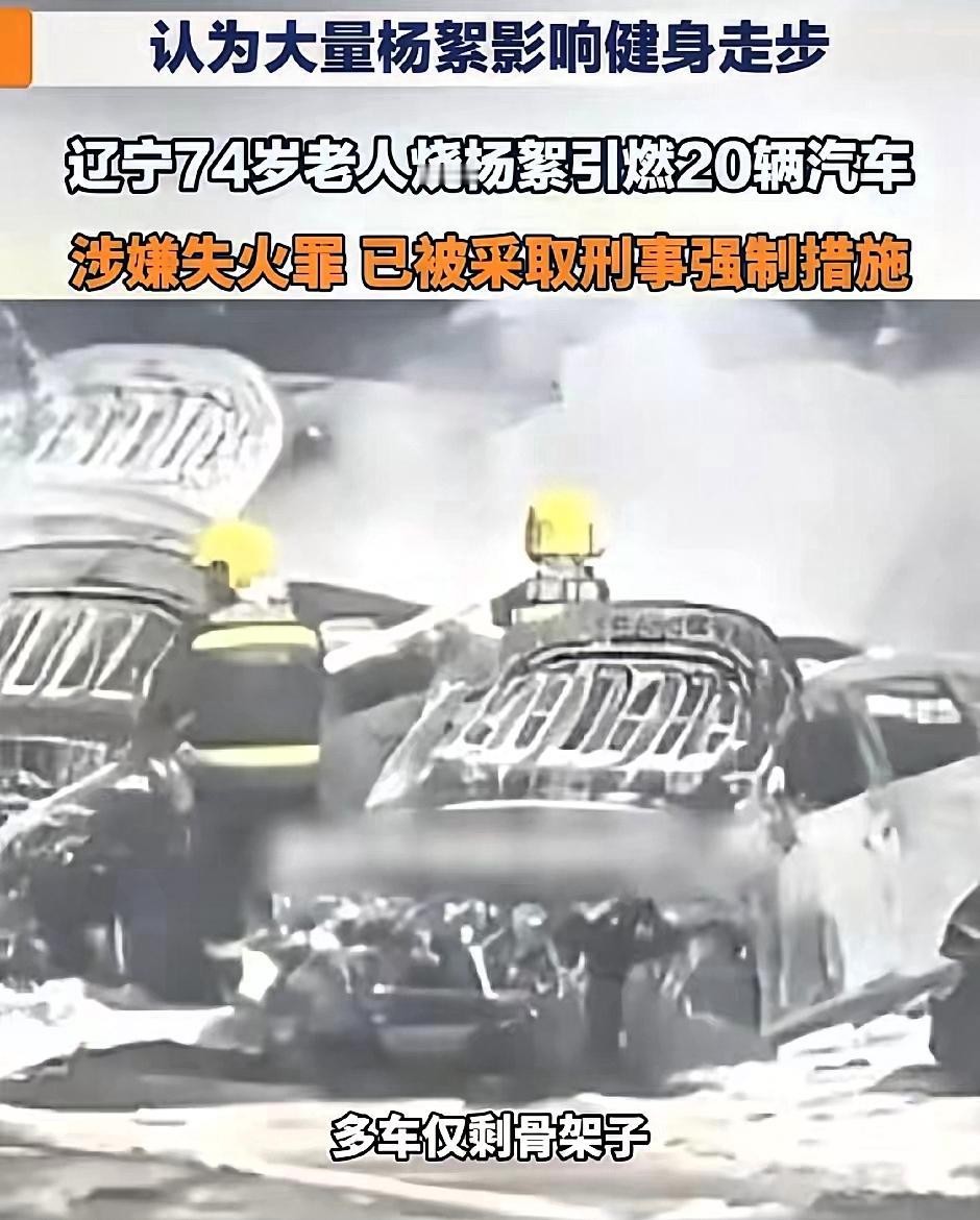 谁能想到一个74岁的老人竟然能闯出这么大的祸，不仅自己被刑事拘留，恐怕就连这一辈