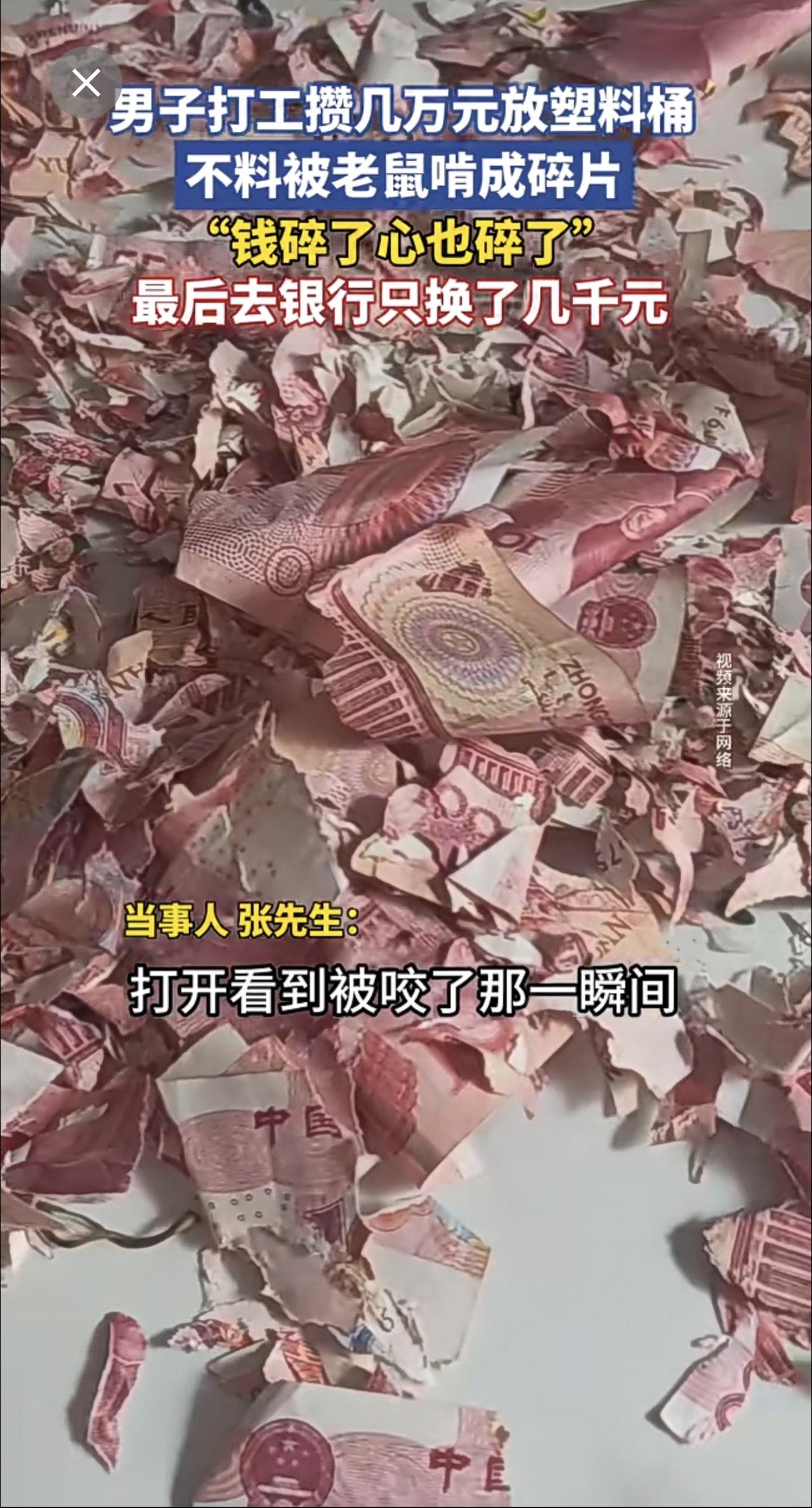 男子打工攒几万元存塑料桶，被老鼠啃成碎纸，去银行只兑换几千元。“钱碎了，心也碎了