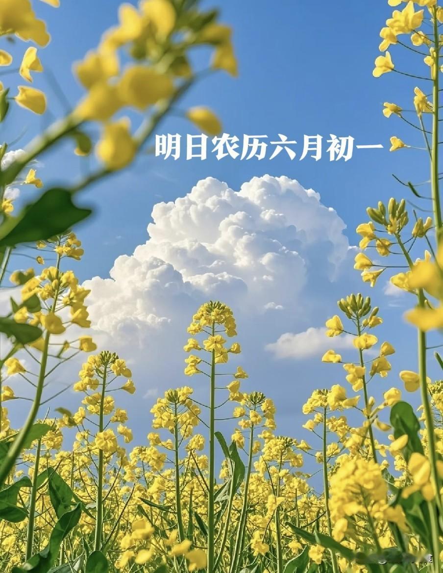 不是迷信！明日六月初一，牢记：1不吃、2不站、3不忌，别大意老话常说“上半