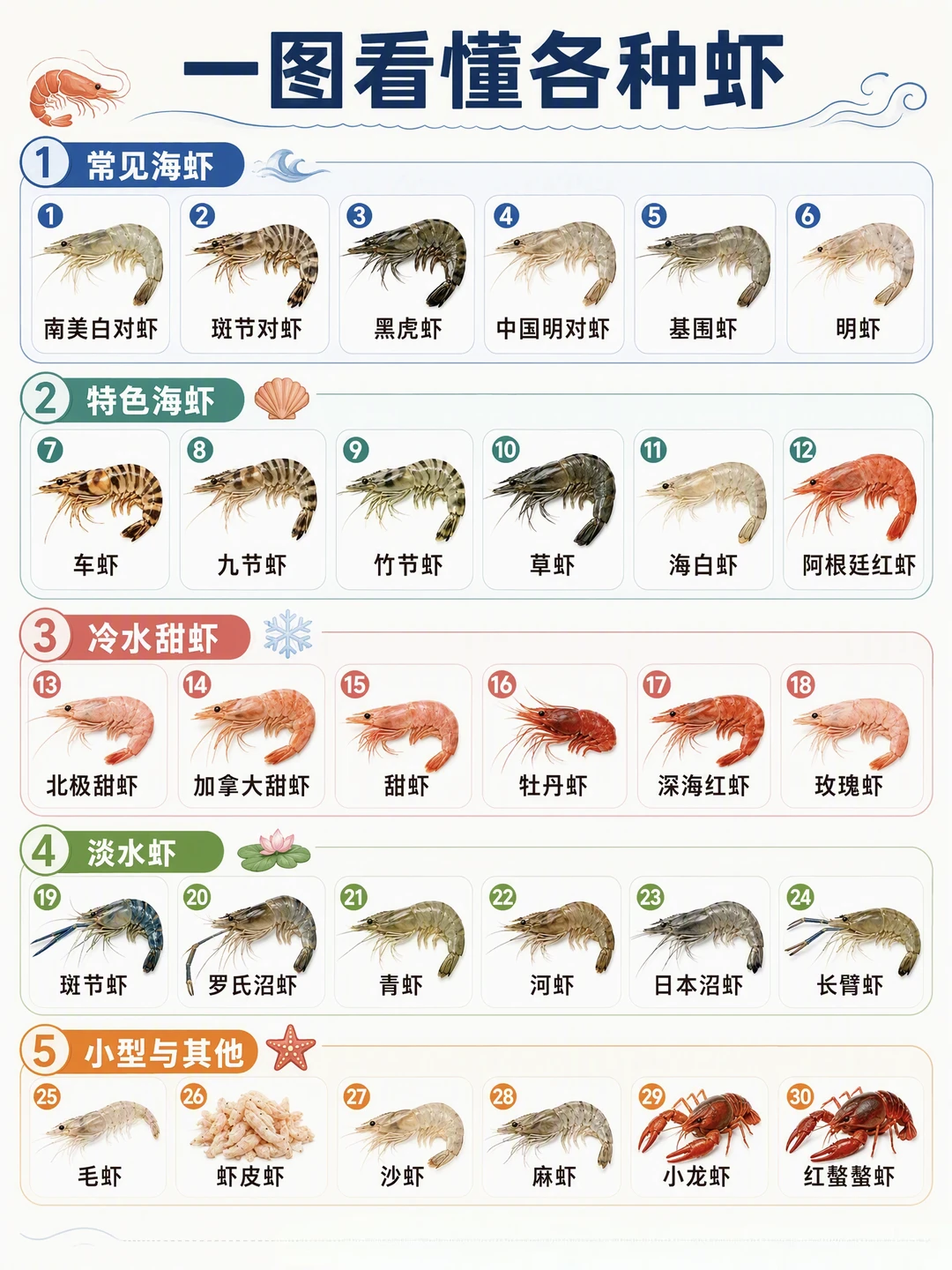 一图看懂各种虾