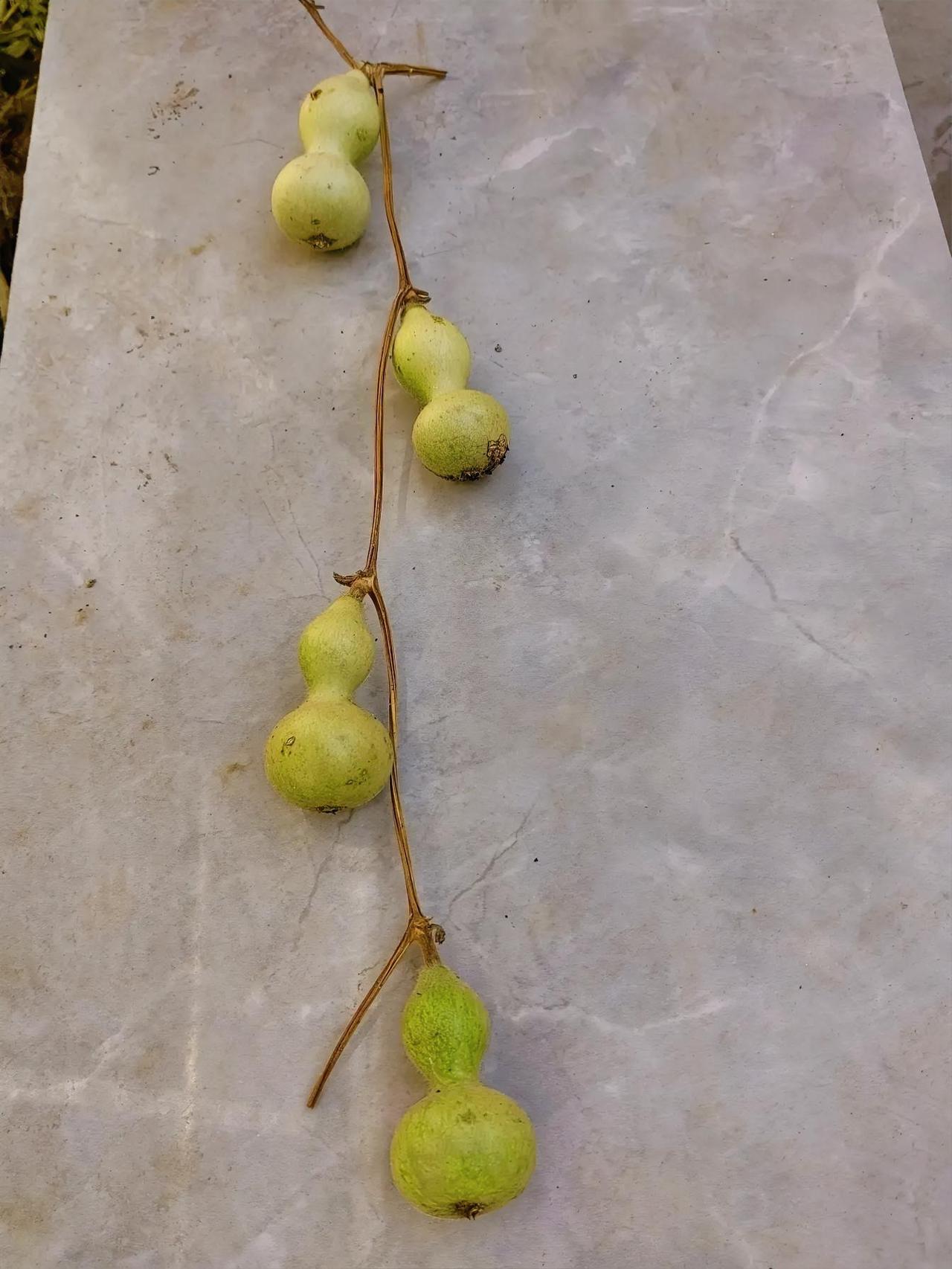 大家发现没有？现在的兄弟姐妹，，只要父母不在了，亲情也就散了！村里一家人，兄弟