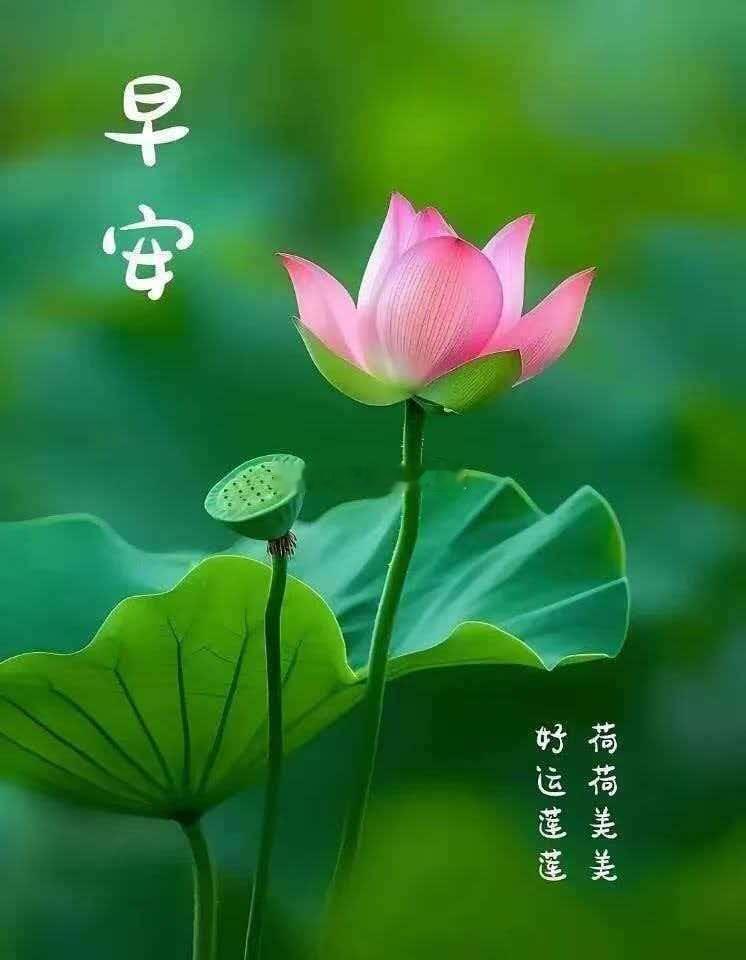 早餐打卡今日早餐！