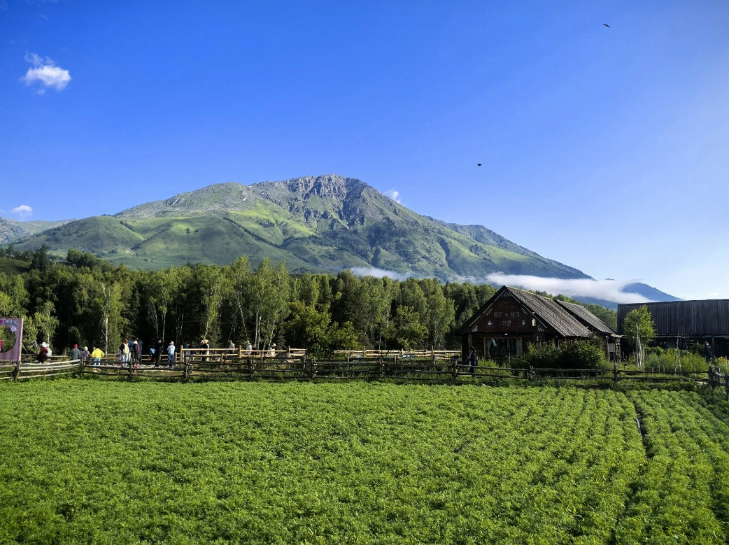 新疆游体验：美景与槽点并存，旅行需谨慎规划