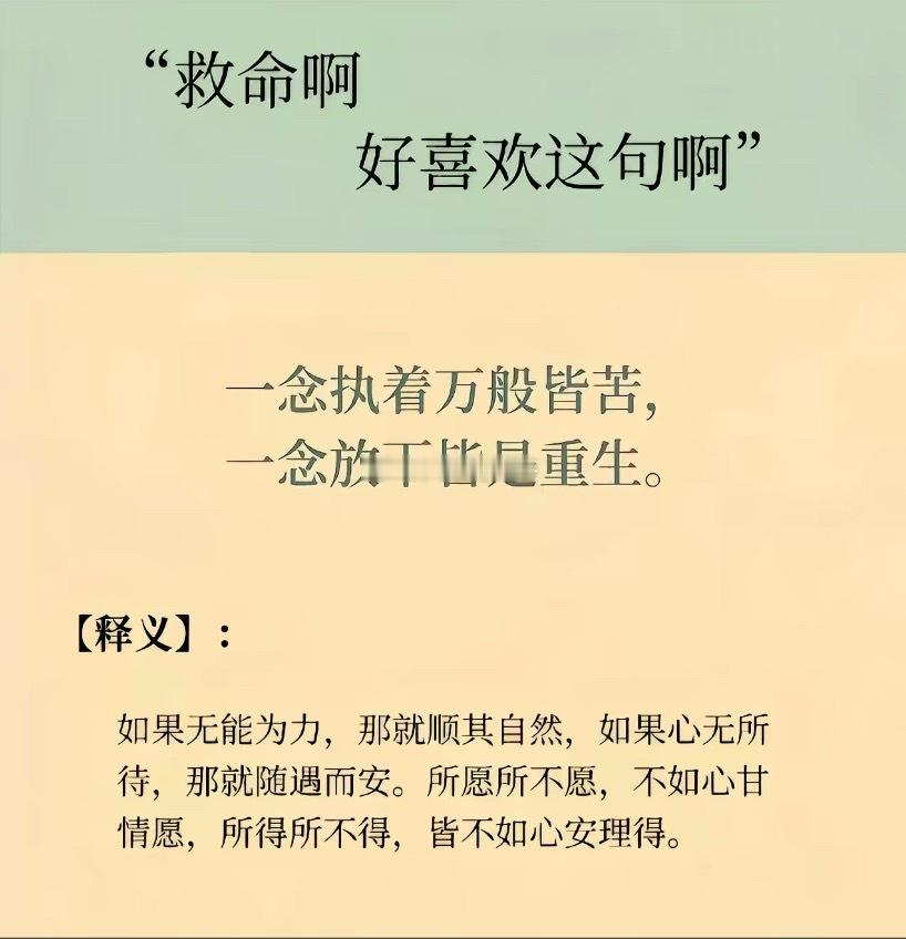 一念执着万般都有味青葱岁月一念放下百般都无趣我的日常plog