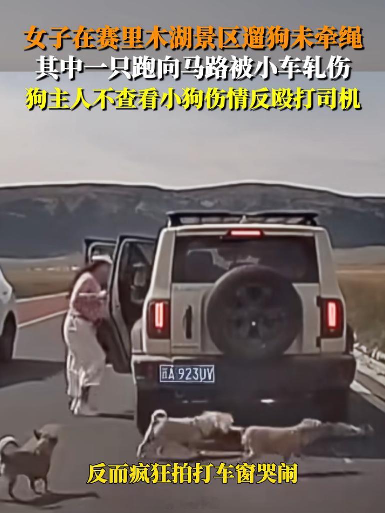 出门遛狗拴绳是最基本的吧。赛里木湖车流量这么大，不拴绳遛。狗子被轧了，先去打人