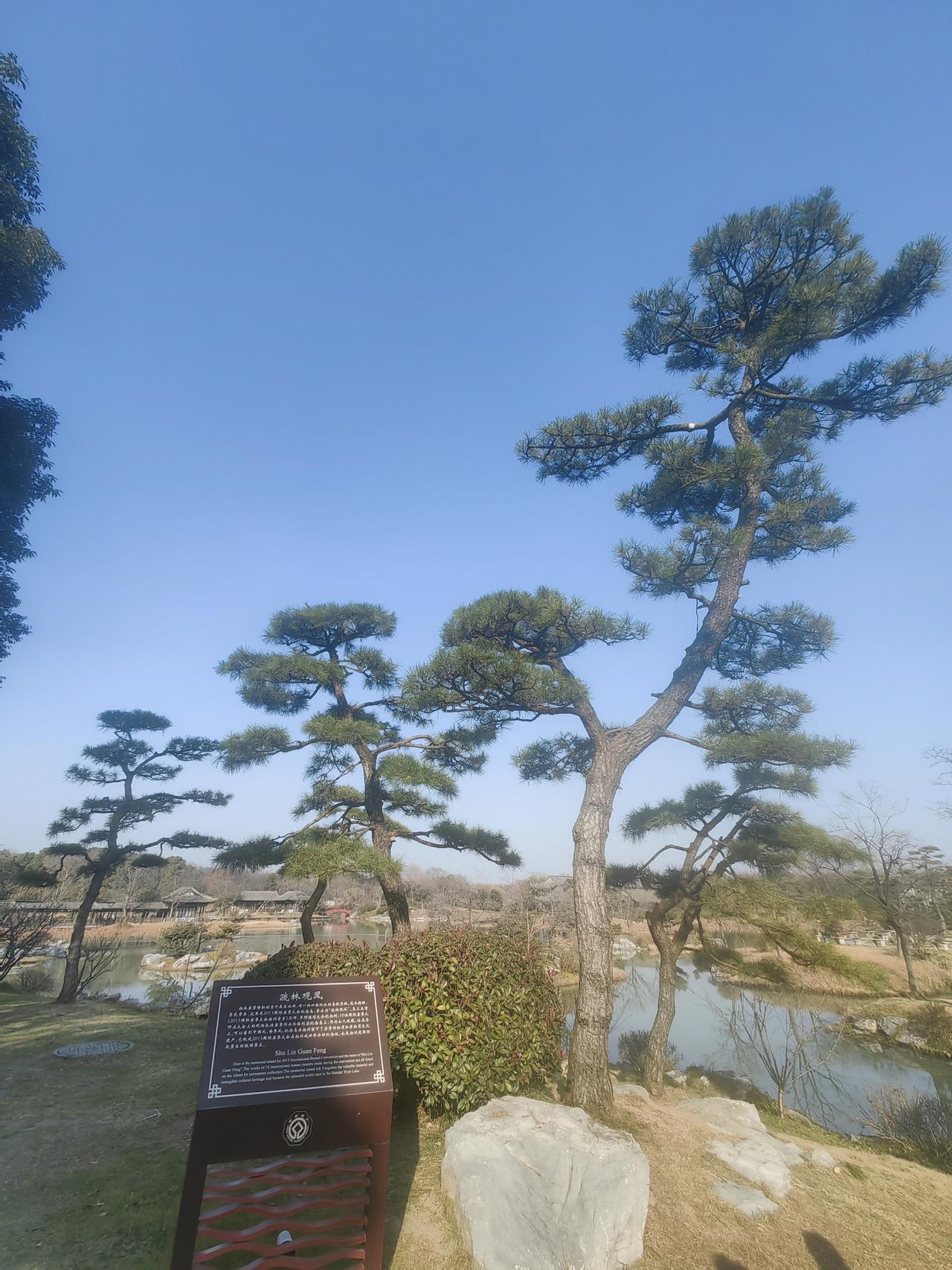 “平均分18分，我有什么压力”同学为了评职称，从市区一个重点中学调到市区边的一个