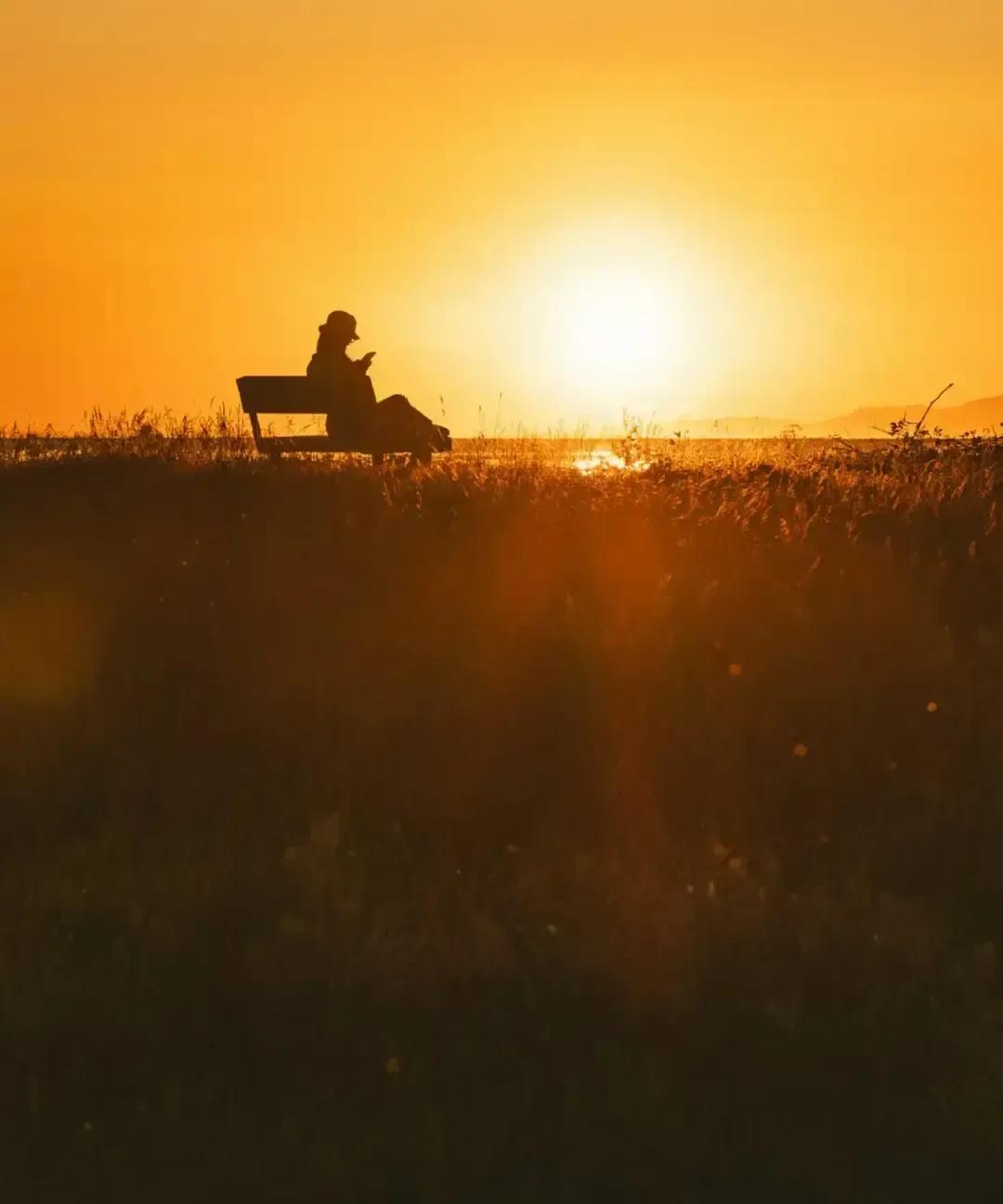 公司男同事偷情两年，被老婆当场撞见搂腰照，当场跪地求别离。老婆把离婚协议拍桌上