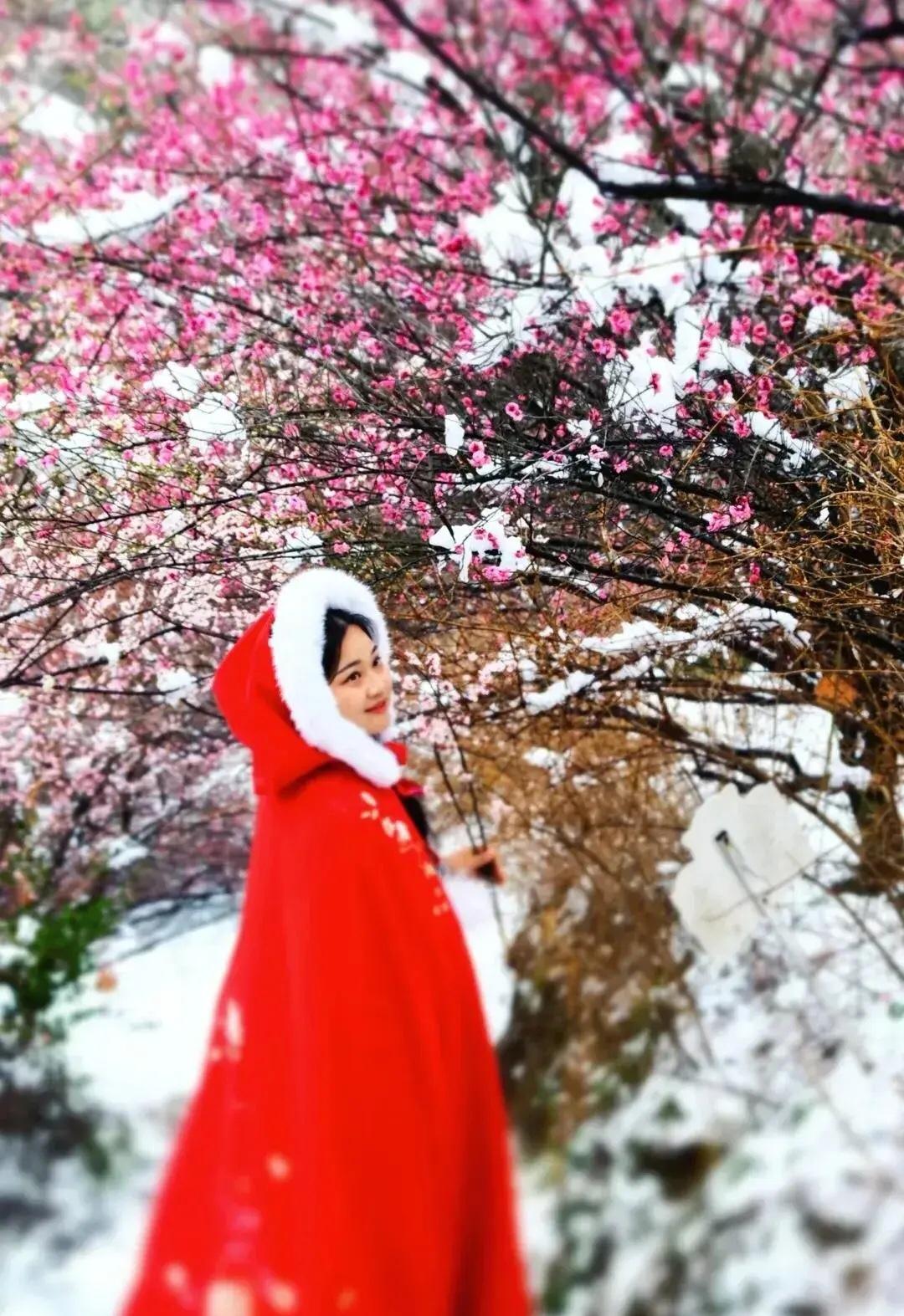 下联：雪打梅园万花红。