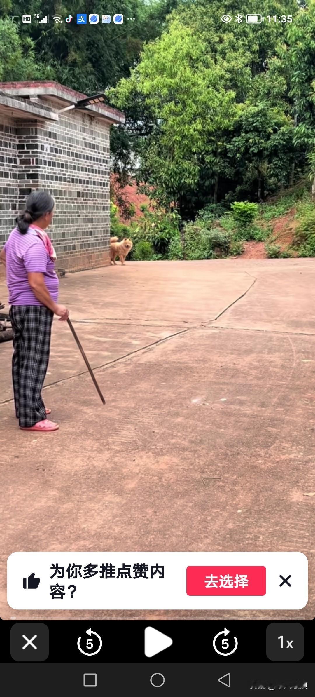 今天田园犬又跑到老远的地方玩耍去了，靠定位才把它找到。回到家后，女主人把它骂了一