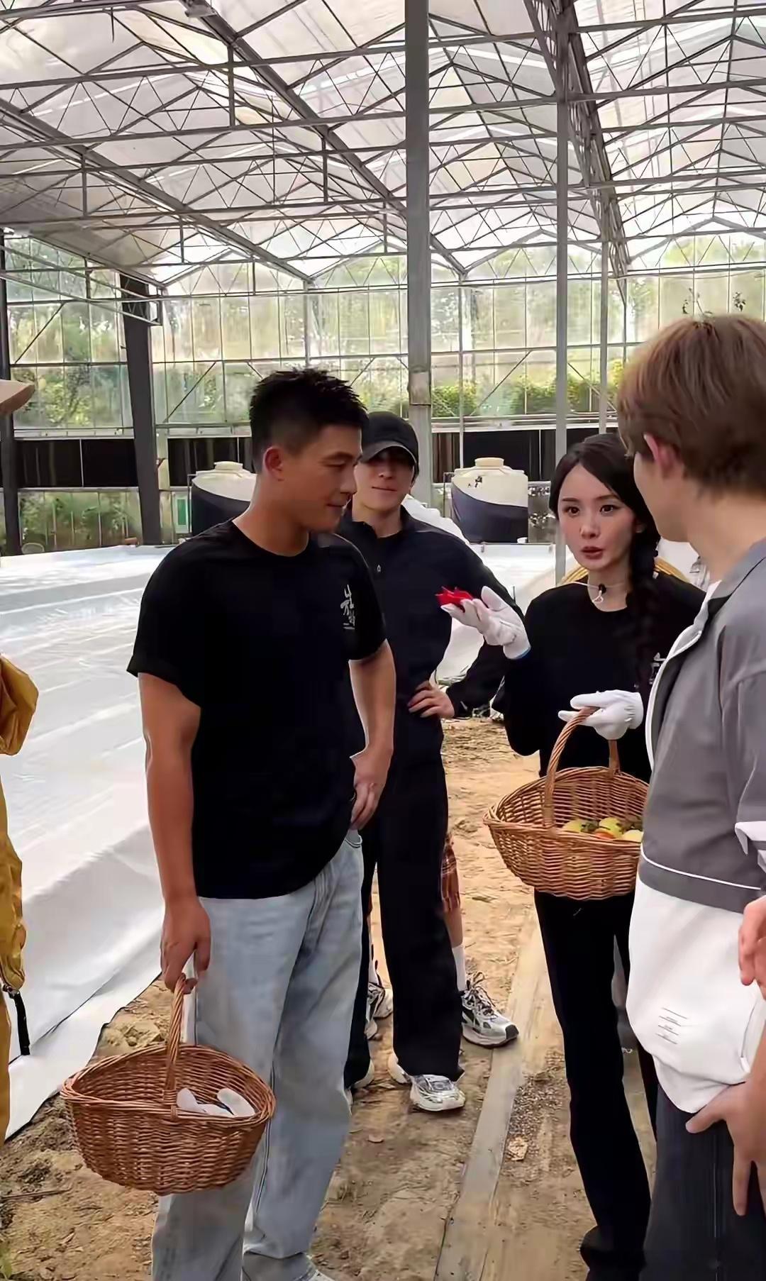 欧豪和杨幂现身菜园子，杨幂打扮好漂亮，欧豪比其他人更像农民​​​