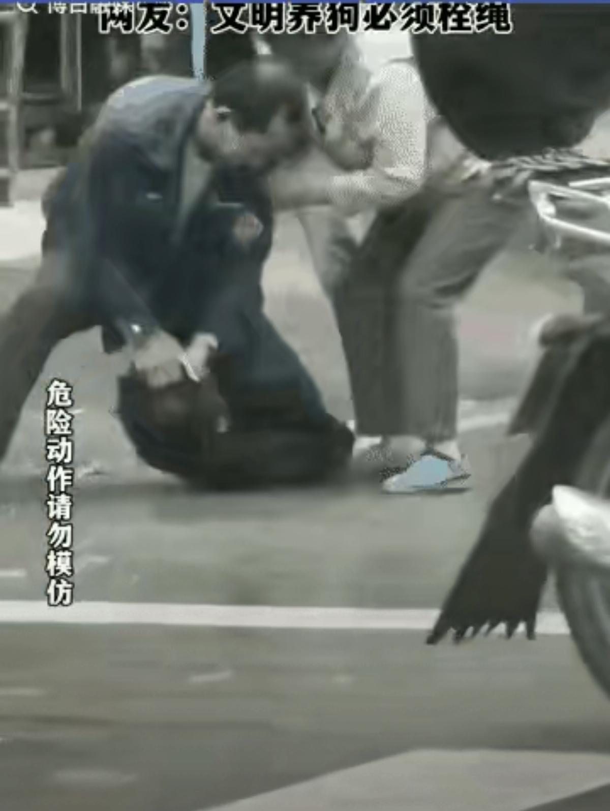 这次养狗的遇到狠人了！大妈遛大狗不栓绳，狗咬人后被男子教训，举动大快人心不