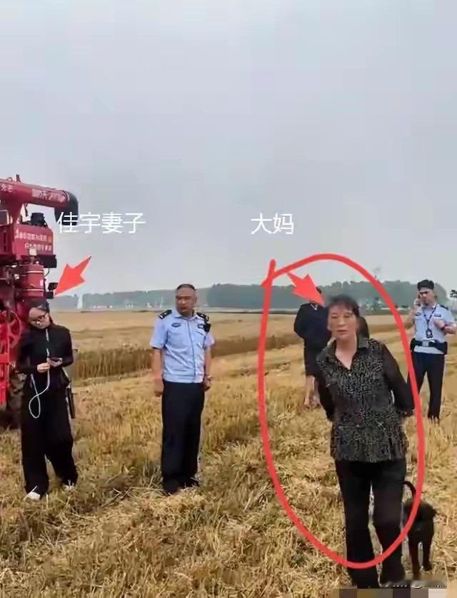 湖北襄阳那大妈真不值得同情！湖北襄阳连续多天大雨，地里的麦子等着收割，再不收