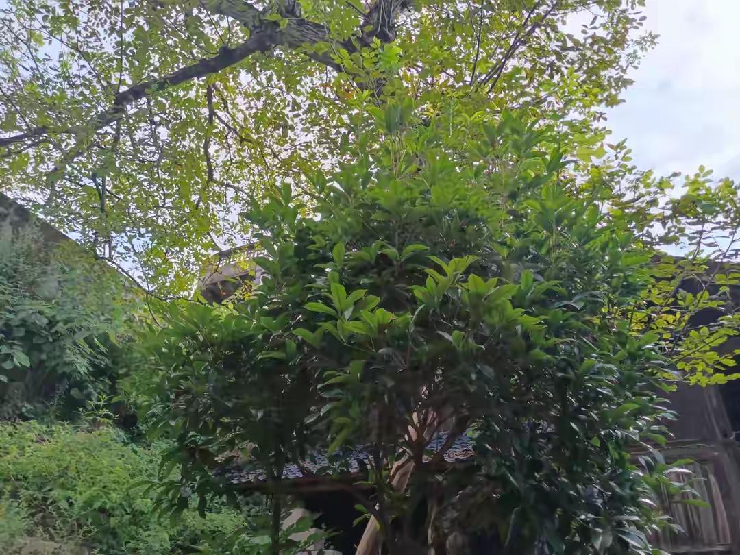 今天刷到个事真的太戳人了：一个从山沟里考出来的第一个研究生，工作9年给家里转