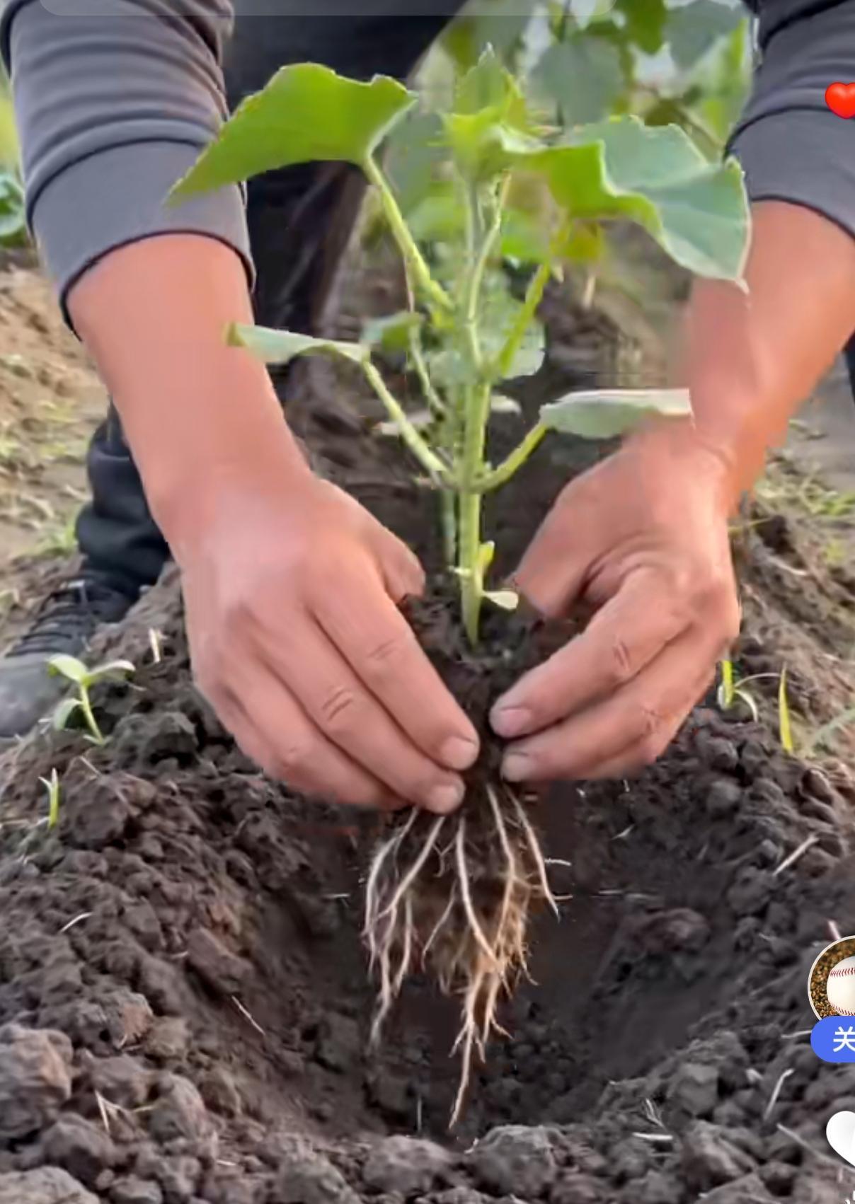 去年市场下探至3040点时，结合盘面走势判断，主力资金成本位在3250点。而今年