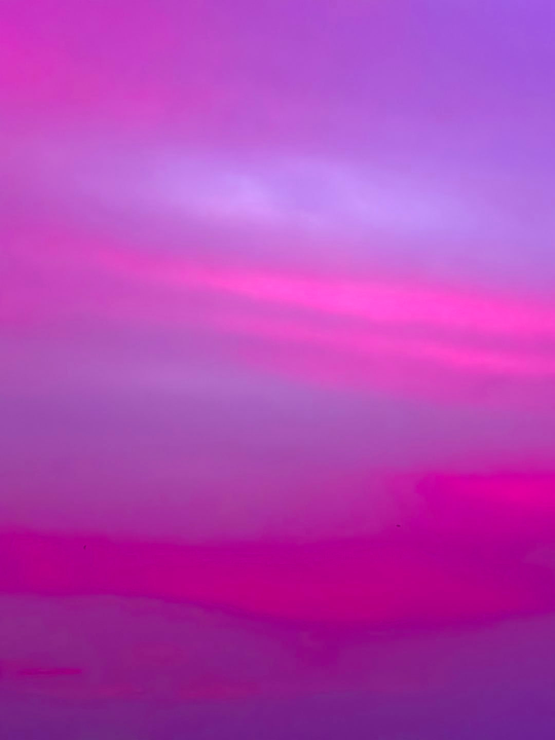 妈耶，西湖变成紫色了