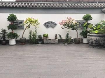 所有妈妈永远无法释怀的孩子小洛溪，那将是我一想起来就心疼到落泪的五个月...