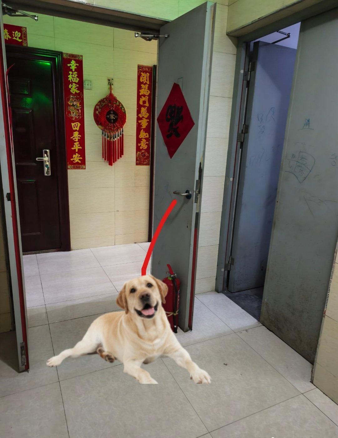 我们邻居，之前把狗栓到楼道消防门上，我那天晚上差点回不了家。后来人家说不能因为你