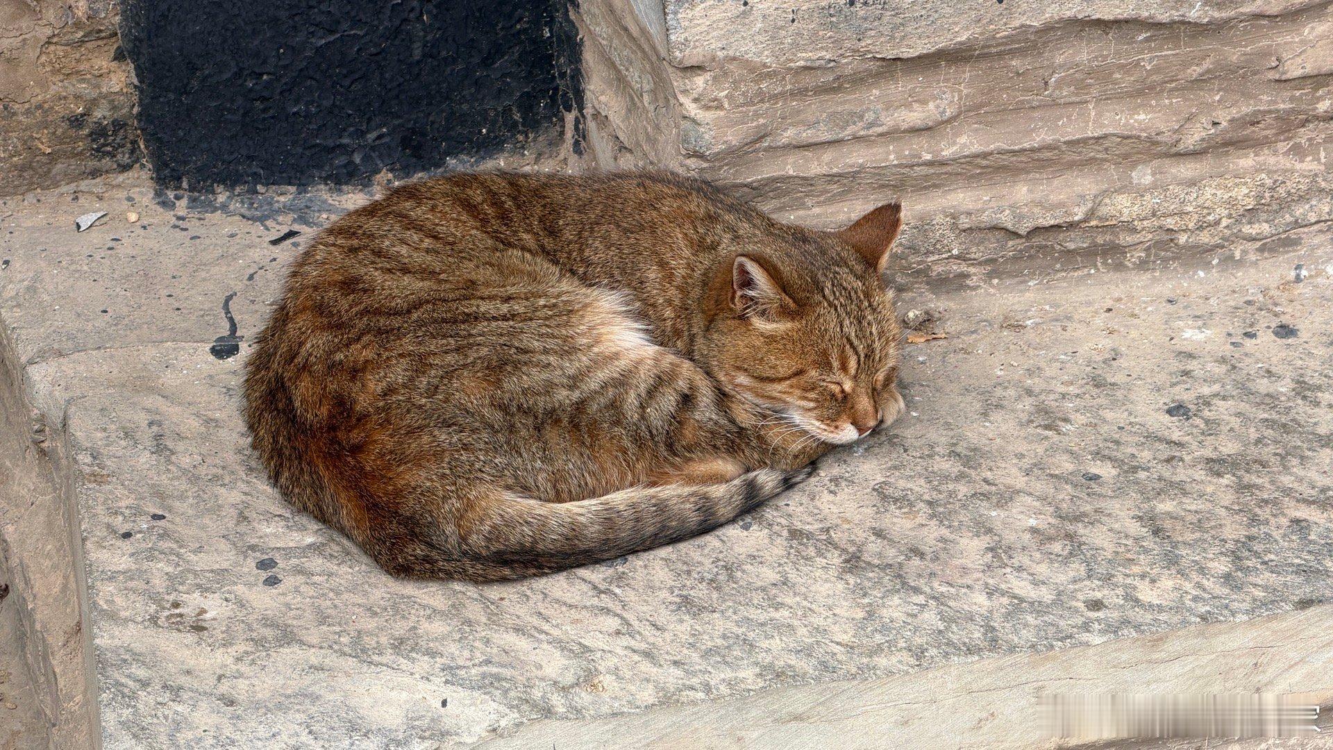 我追尾前车但前车逃逸了这种事儿，其实对于做交通新闻的人来说，屡见不鲜。我接触过几