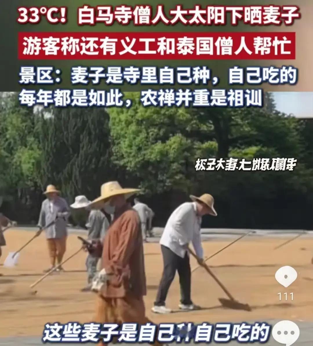 33℃高温，一群真和尚在寺院广场上干了一件最"不务正业"的事你敢信吗？在洛阳白