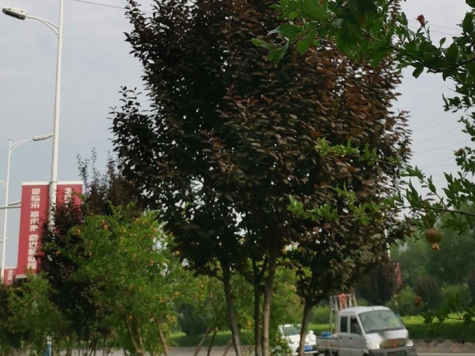 凡是当了婆婆的，都明白这九个扎心的真理：一，你就是事事顺着儿媳妇，任劳任怨默默