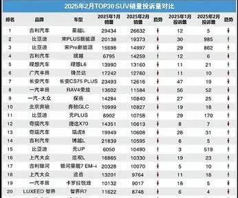 315撕开了很多车企的遮羞布，前30名，比亚迪独占五个名额，牛逼了国货之光。