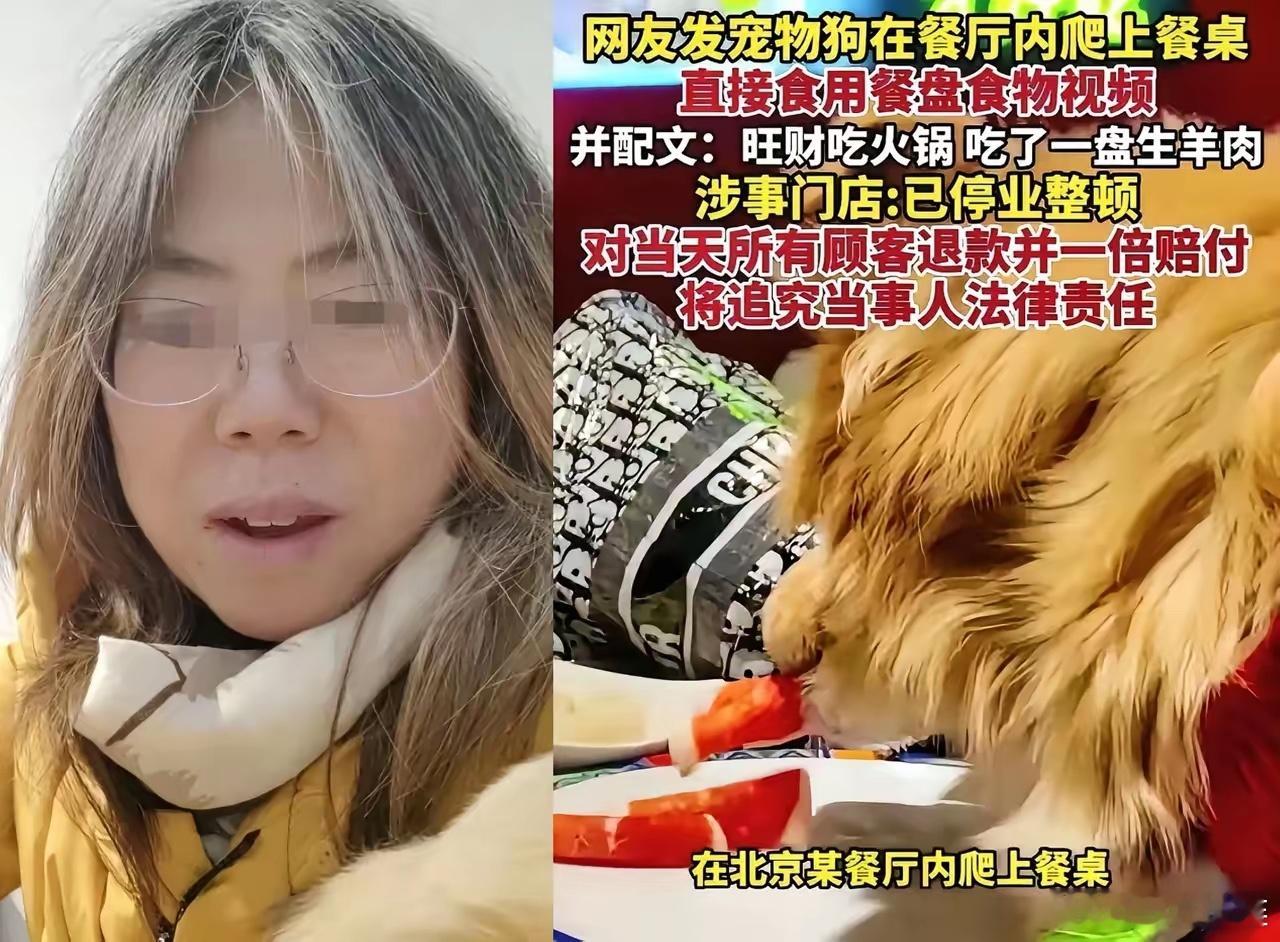 南门刷肉估计悔的肠子都青了不是因为没阻止狗舔盘子也不是1倍赔偿当日用餐的食客餐费