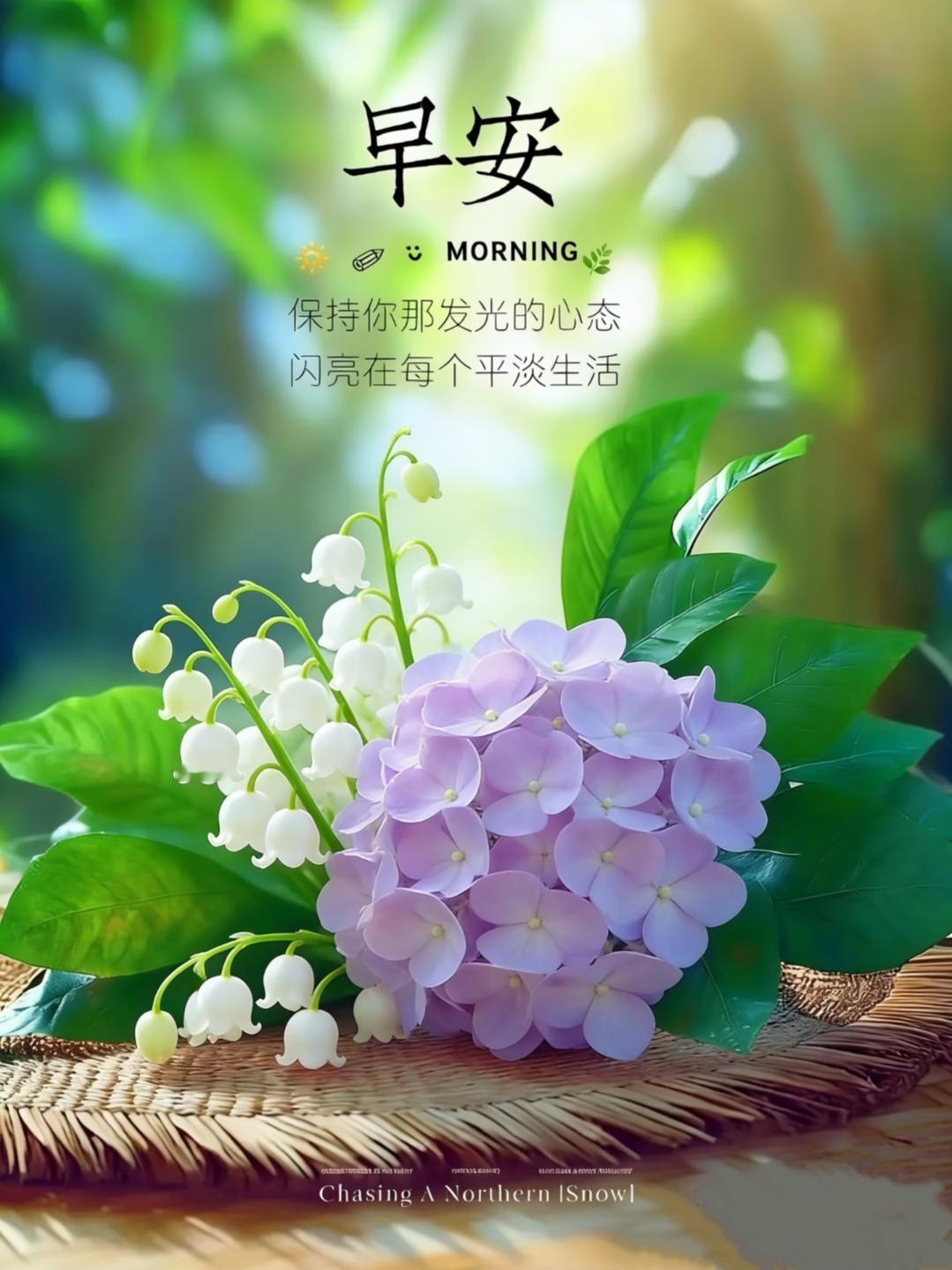 “适合早上发的早安文案，太高级了”1.早安☀️不必追赶日出，你自有你的节奏