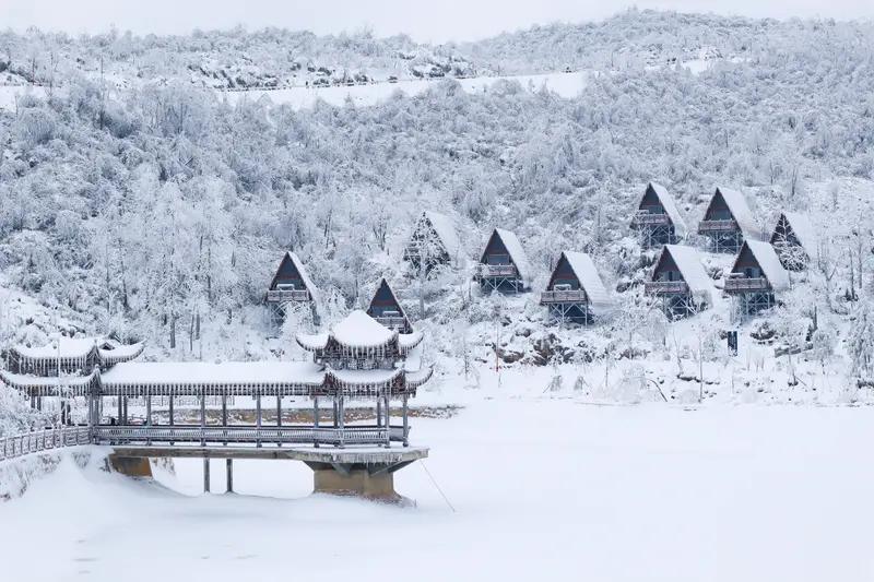 这七星山骆驼杯荒野求生真是戏太多！25岁医学生林北之前靠硬核生存技能刷屏，砍树2