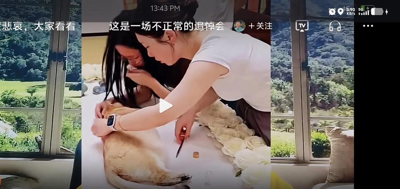 见过给狗过生日的，还真没有见过给狗开告别仪式的，是我见识少呢，还是这个世界让人看