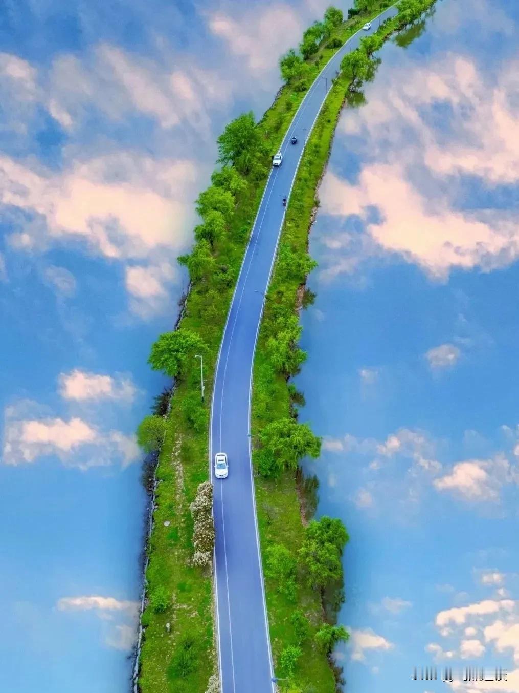 莫言说：“当有一天你尝尽了社会的无情，金钱的压力，爱情的不堪，你终会明白，别人的