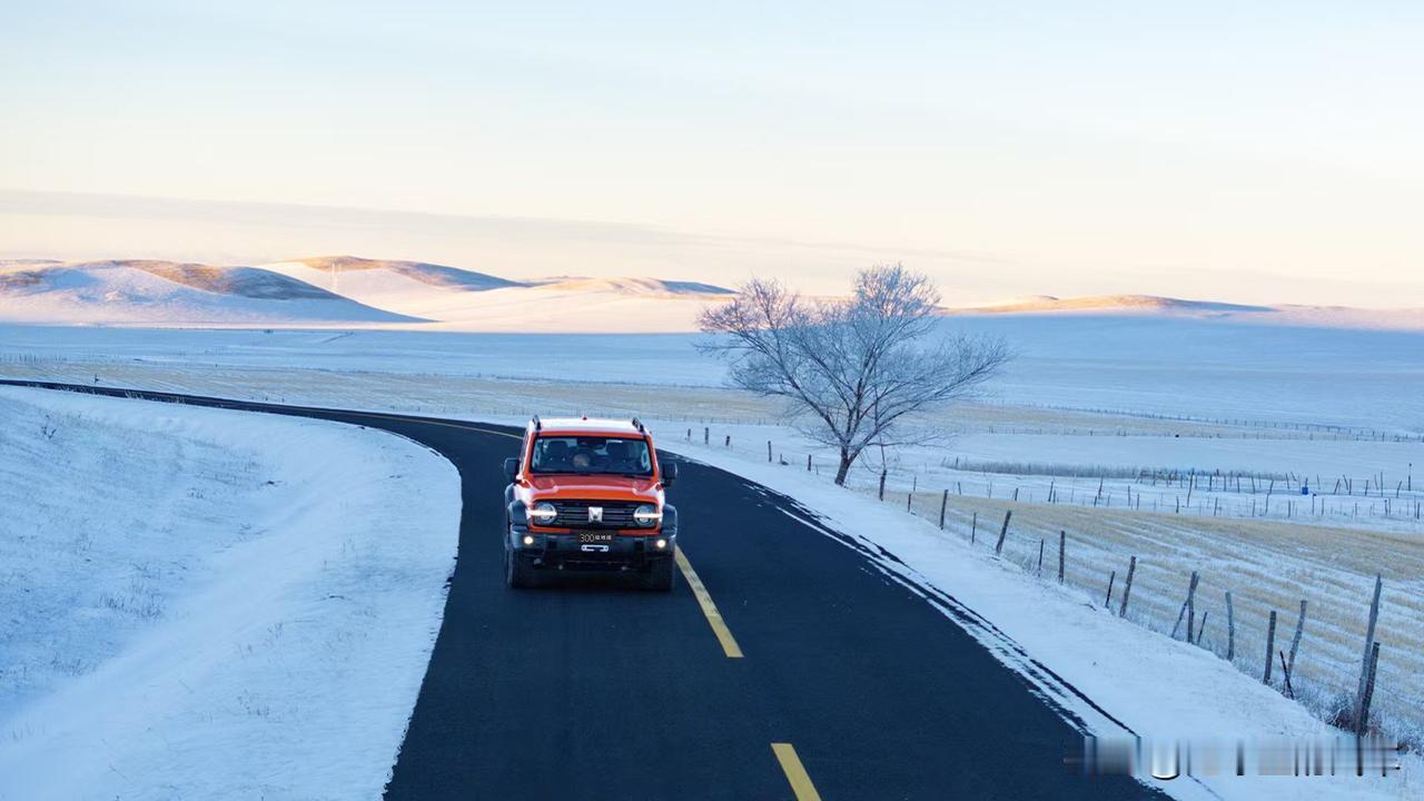 不得不承认，在硬派越野市场，长城坦克没对手。例如，坦克300上市5年，全球销