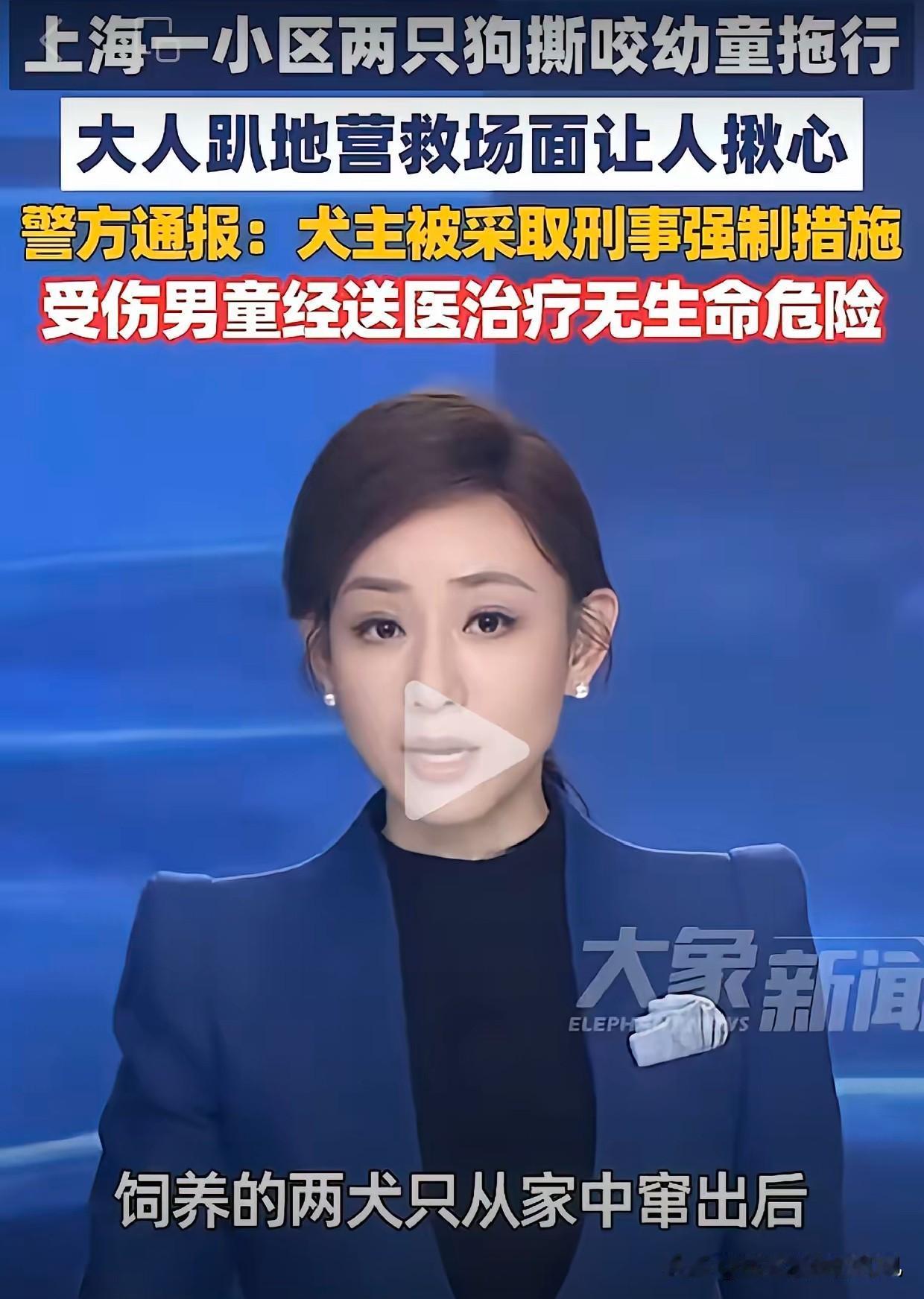 在三大直辖市发生的这三件事，联系在一起看，我至今看不明白！1，北京发生毒狗案，