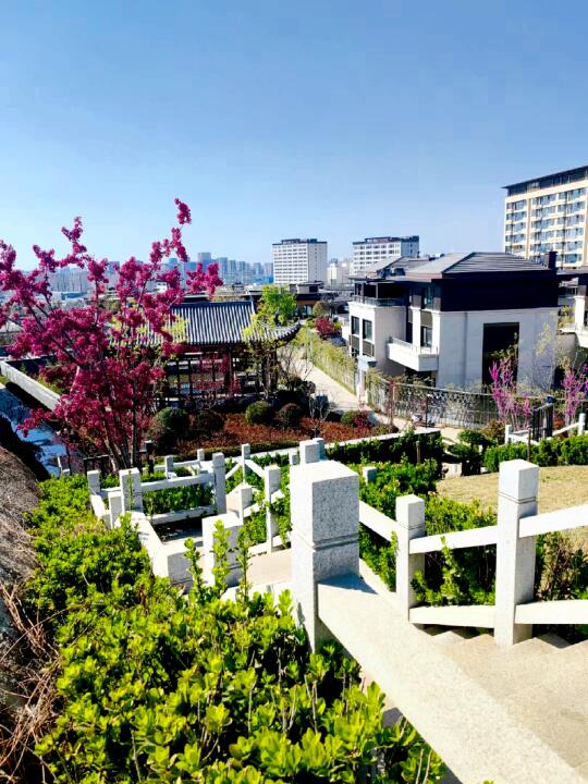明牌的——济南楼市！