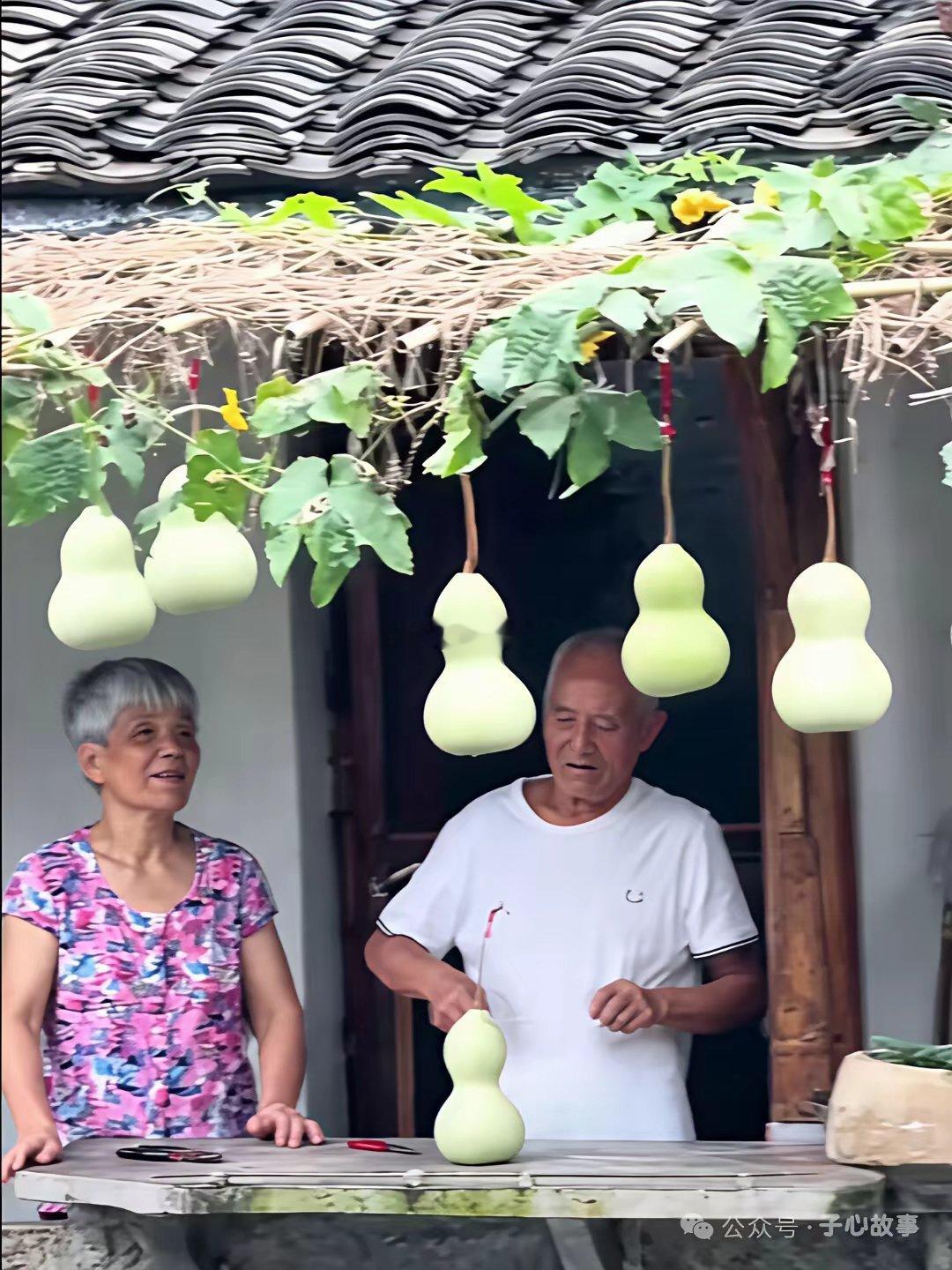 七个葫芦又挂回去了，但这次多了一块牌子​​​