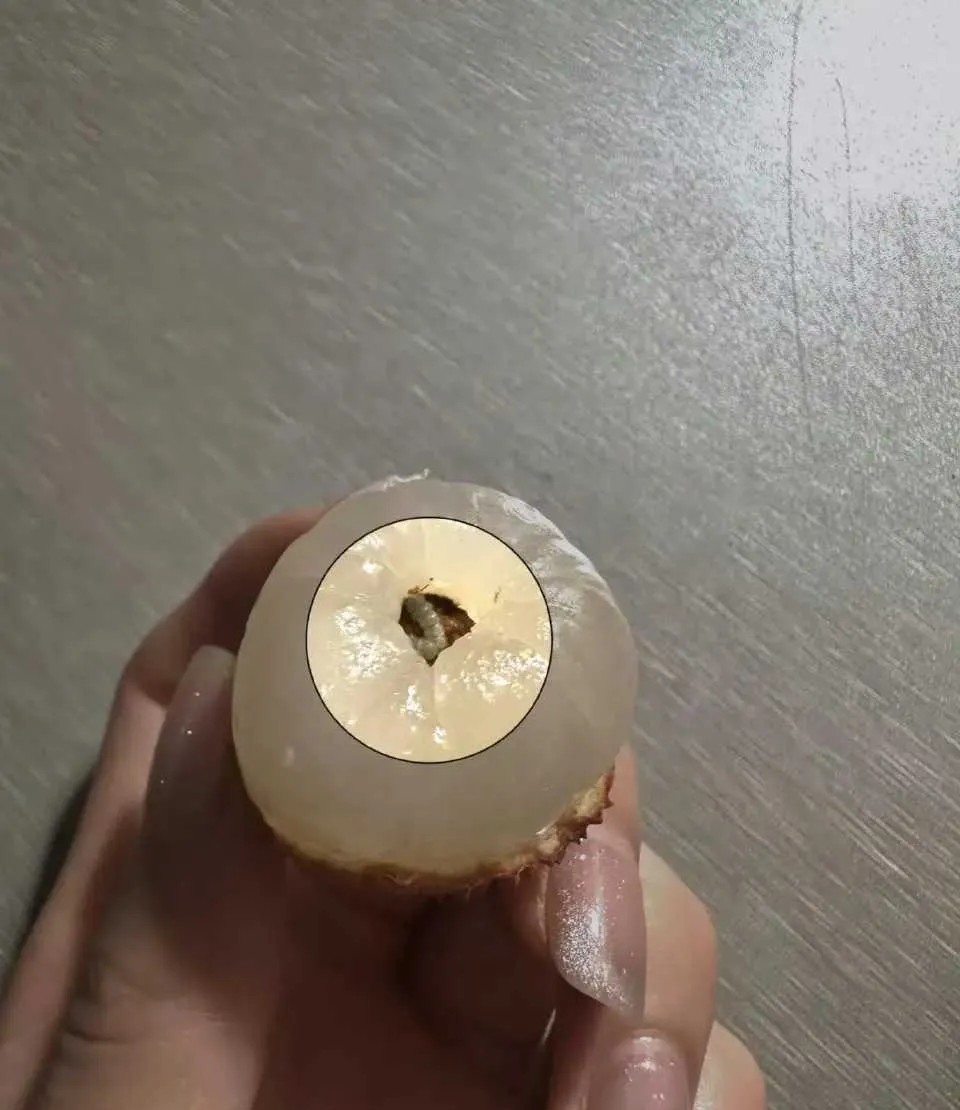 提醒大家吃荔枝一定要开灯
