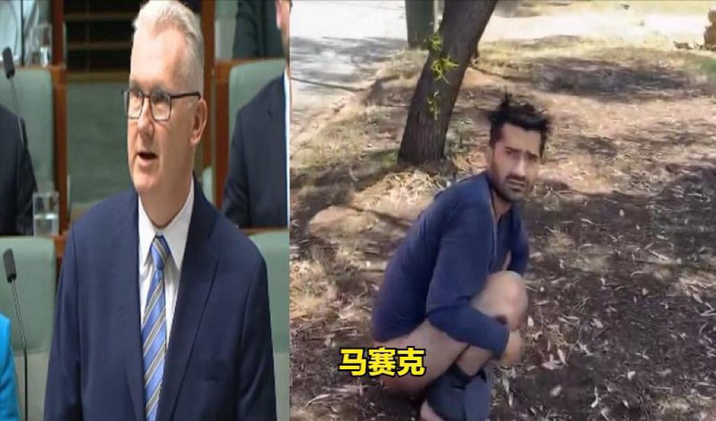 一名印度移民在澳大利亚树旁拉屎，本地人发现后斥责了他。然而，该澳大利亚男子被