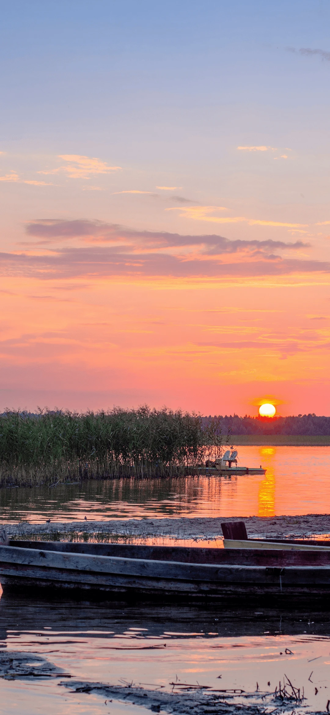 《侯夫人重生日常》作者：橙与白