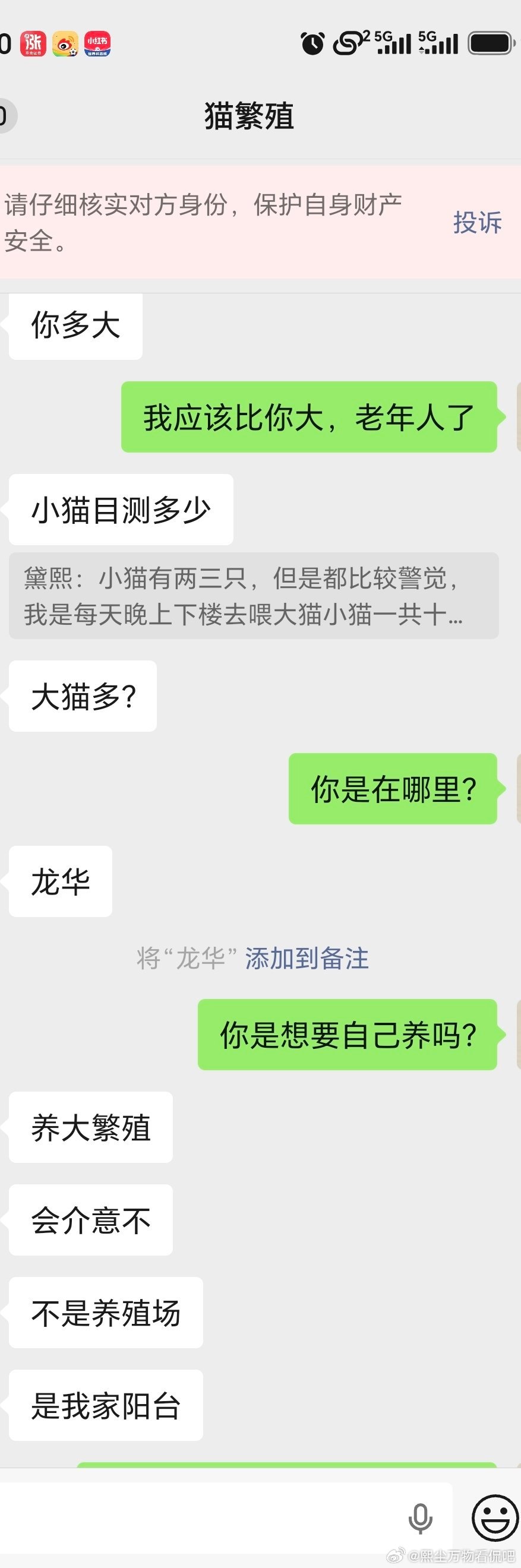 我每天下楼喂流浪猫，前几个月发现小雀猫生了几个小猫宝宝，觉得它们可怜，就在领养平