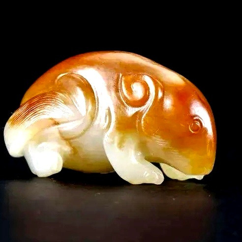 高古玉商至汉代熊，有的像鼠，有的猪……奇出怪相，也许品种不同。上海