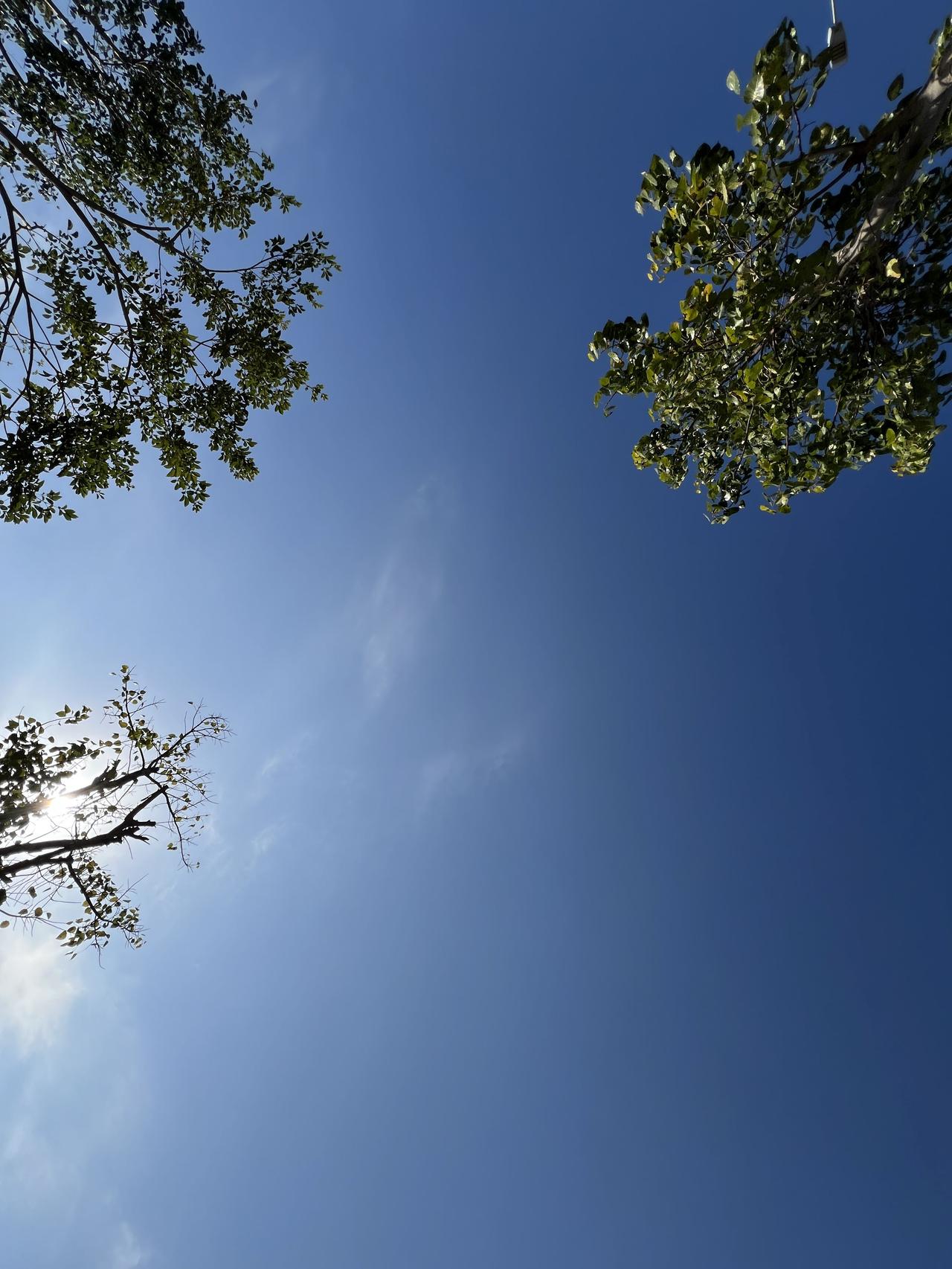 《金刚经》里“凡所有相，皆是虚妄”“一切有为法如梦幻泡影”很火，但如来真实义很多