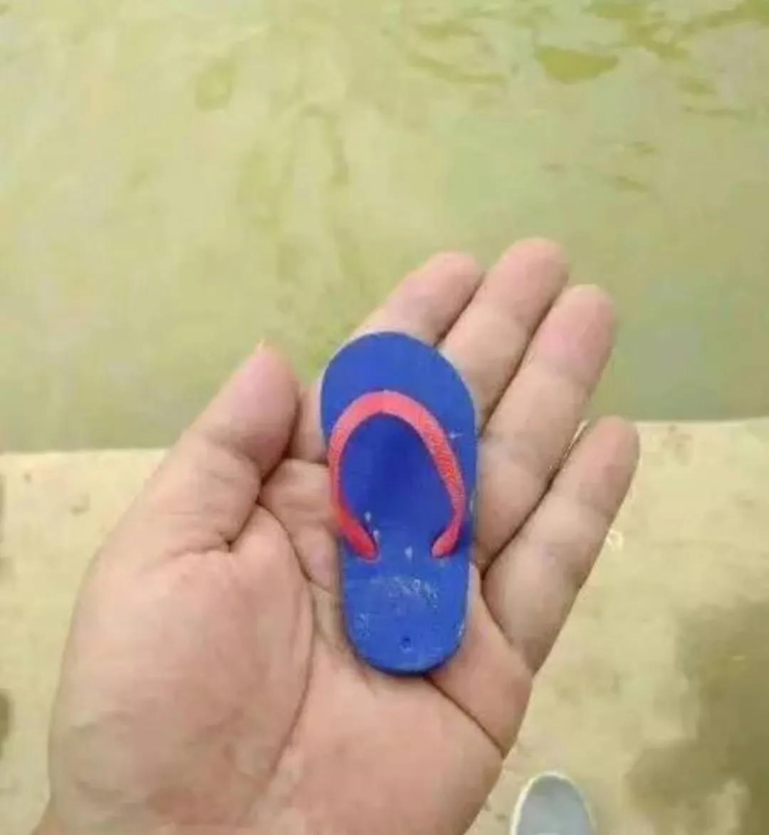 第一个办法，拼DD，买一双极小的拖鞋，几乎不要钱，然后，和小鱼放在一起，你懂的。