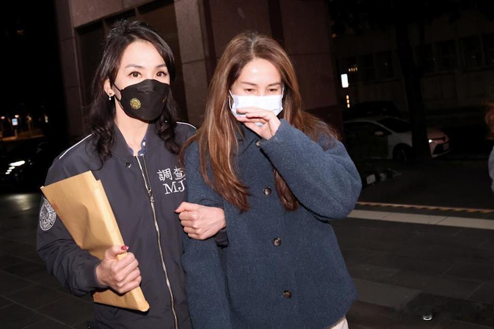 高金素梅今出庭应讯被台当局以“莫须有”之罪侦办的无党籍立委高金素梅，今早（1