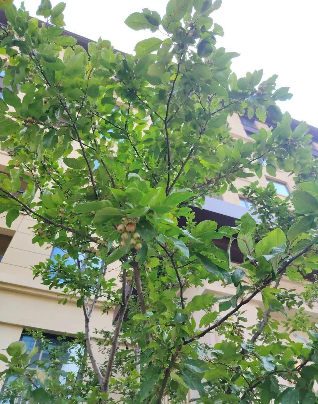 物业费我打算暂时不交了。今天跟邻居聊天才得知，小区里那些拖欠物业费的人，物业公