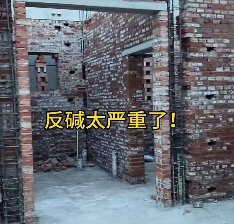 砌好的砖墙表面全都泛出白碱了，这该如何是好？有一栋砖墙已经砌好的房子，砖块上却